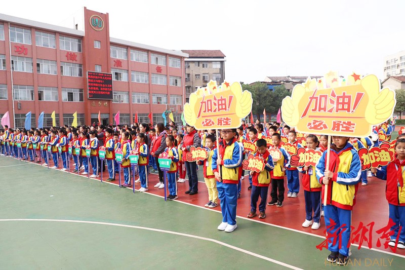 临澧县小学最新项目，开启现代教育新篇章探索